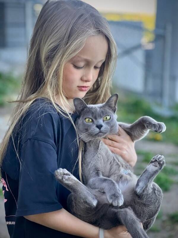 Katt - Lillebror och katt