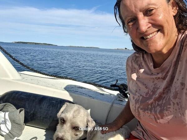 Hund - Bichon havanas Messi