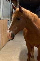 Finaste Millie Finaste Millie