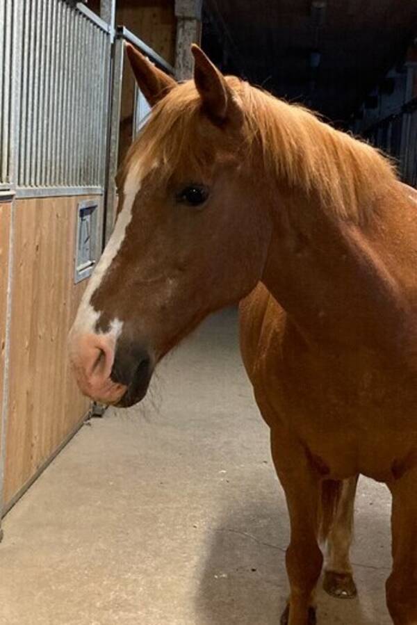 vrigt - Finaste Millie