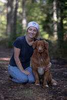 Toller Elvis  Toller Elvis