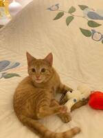 Min älskade Min älskade