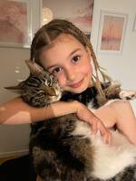 Katten Strössel