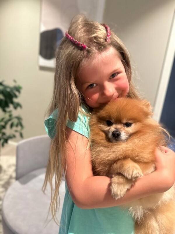 Hund - Pomeranian 