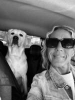 Labradoren Mika. 1 år är hon. Labradoren Mika. 1 år är hon.