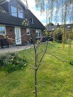 Villa beddingestrand Villa beddingestrand