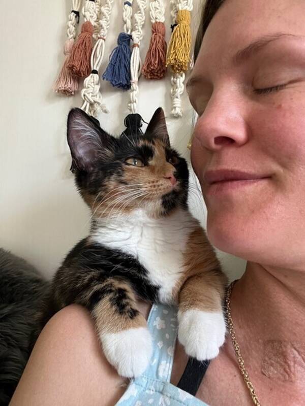Katt - Selda 