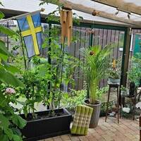 Uterum Juni 2025 Uterum Juni 2025