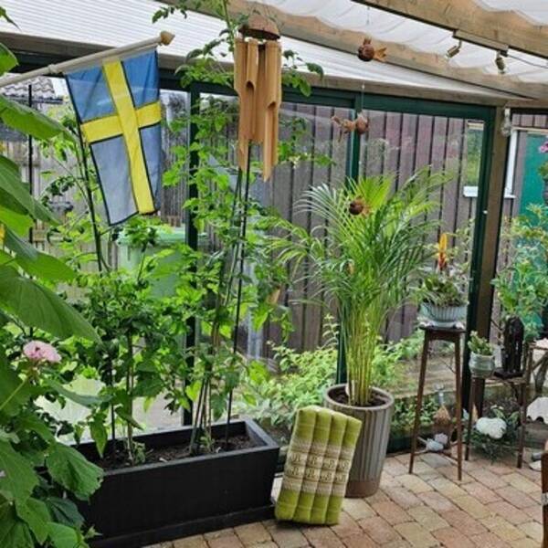 Hus - Uterum Juni 2025