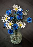 Blommor (för inomhusbruk)  Blommor (för inomhusbruk)