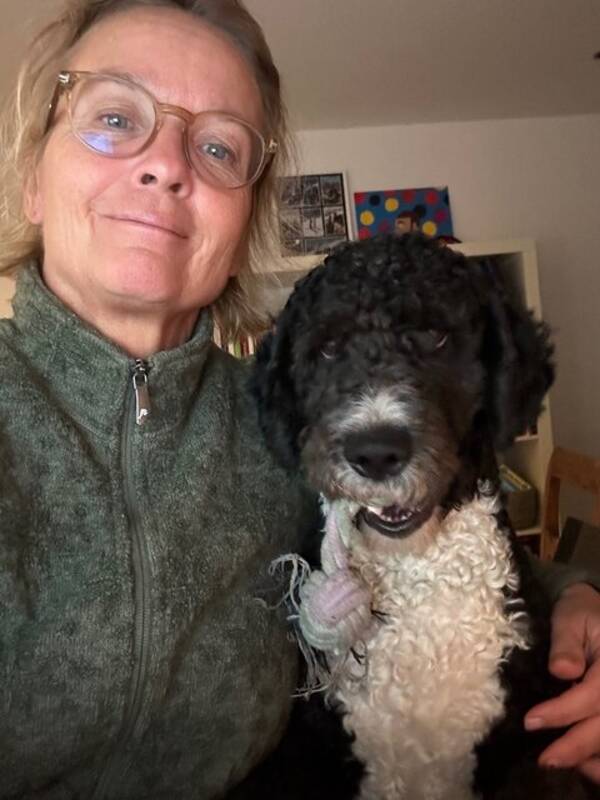 Hund - Spansk vattenhund