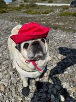 MOPS Tim / 