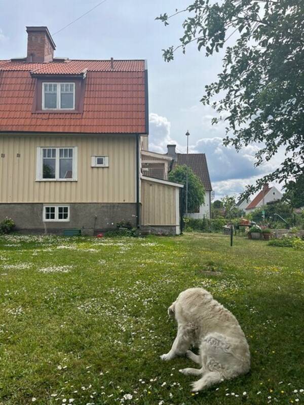 Hus - Hus gamla Enskede 