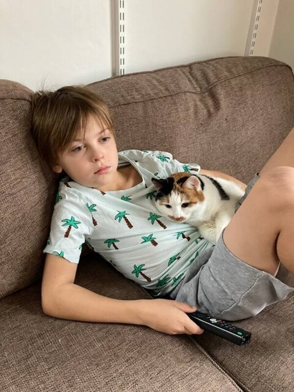 Katt - Katten Poppy