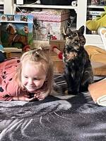 Katten My