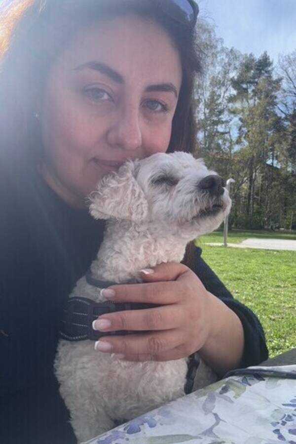 Hund - Dvrgpudel 
