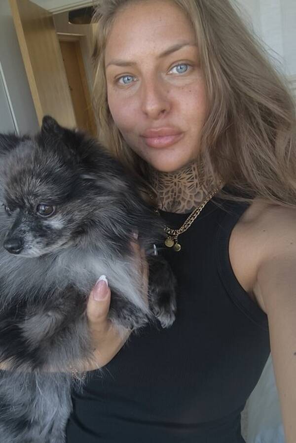 Hund - Pomchin Kompis