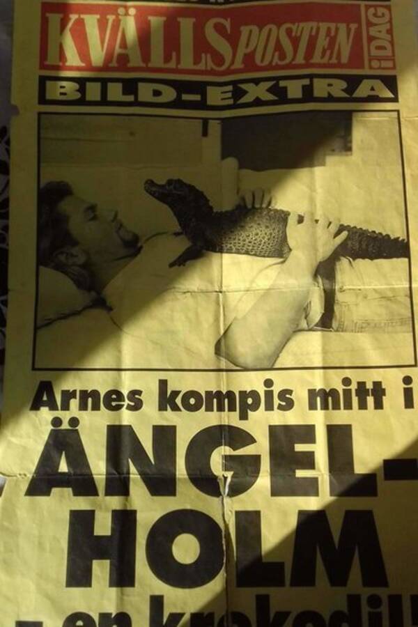 vrigt