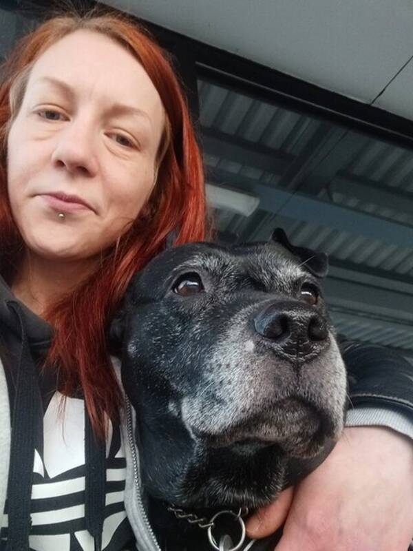 Hund - Bella 12 r 