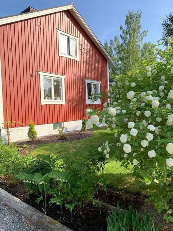 Hus