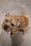 Border Basel Border Basel