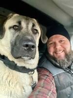 Kangal Ronja