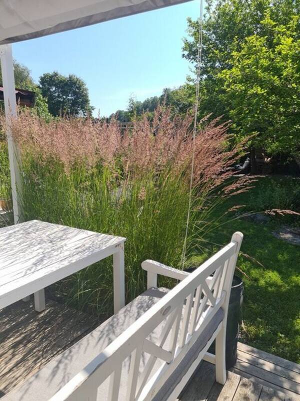 Sommarstuga - Sommarstuga utanfr Huddinge