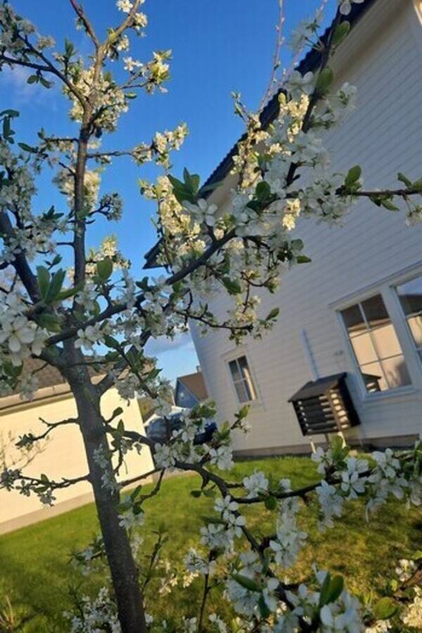 Hus - 2166 Oppaker Hus - 2166 Oppaker