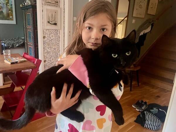 Katt - Katterna Bella och Pazu