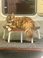 Katten Sessan