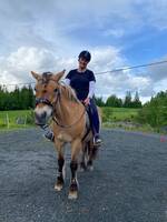 Hest Bella