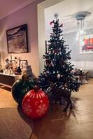 Leilighet sentralt Grünerløkka Oslo  Leilighet sentralt Grünerløkka Oslo