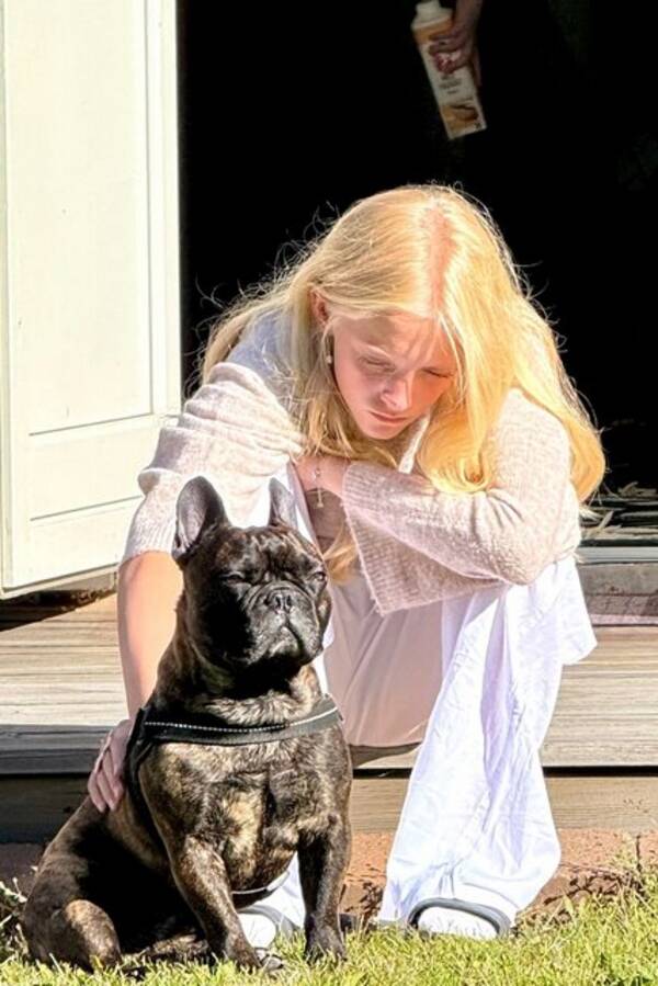 Hund - Max Fransk Bulldog 