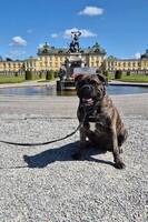 Vera