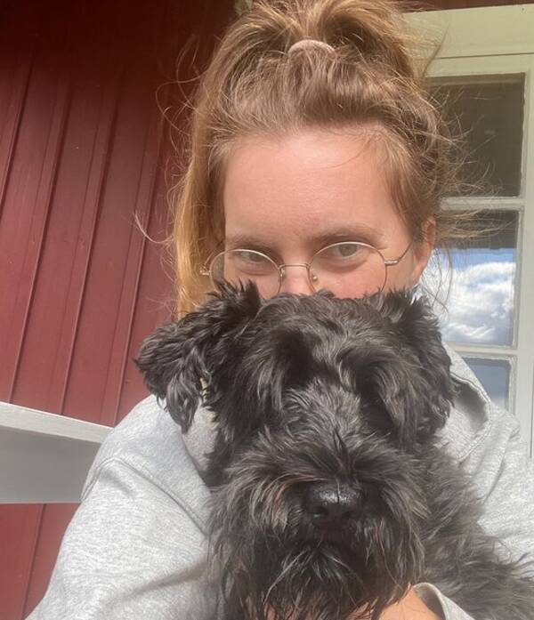 Hund - Dvrgschnauzer 