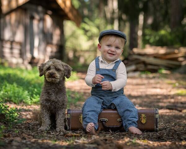 Hund - Chipoo Kasper Hund - Chipoo Kasper