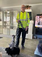 Chihuahua Bronzon Chihuahua Bronzon