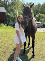 Häst Decibel Häst Decibel