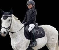 Häst Top Noch ?Toppen? Häst Top Noch ?Toppen?