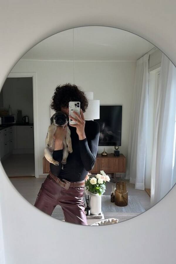 Hund - Mops Hund - Mops