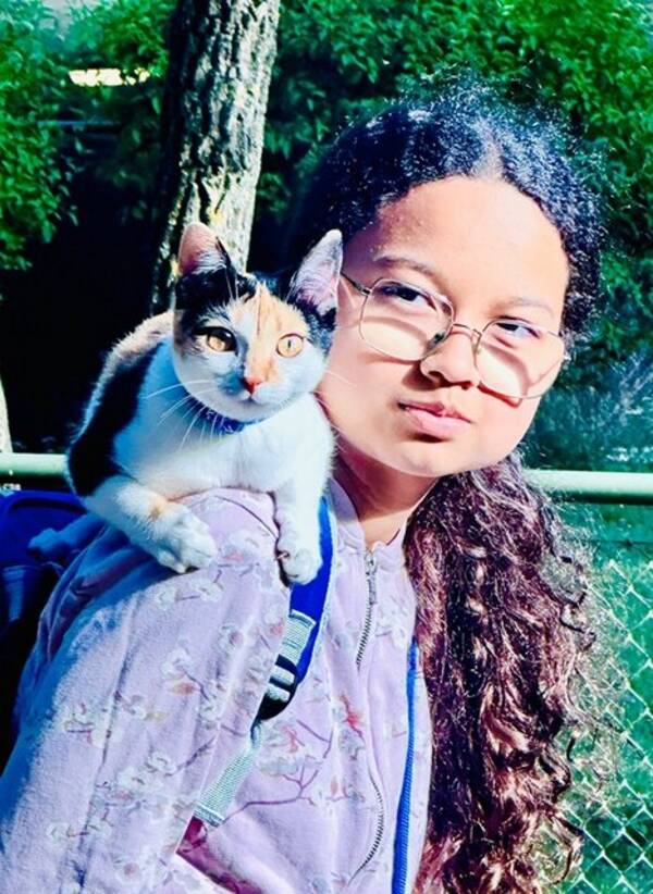 Katt - Safir