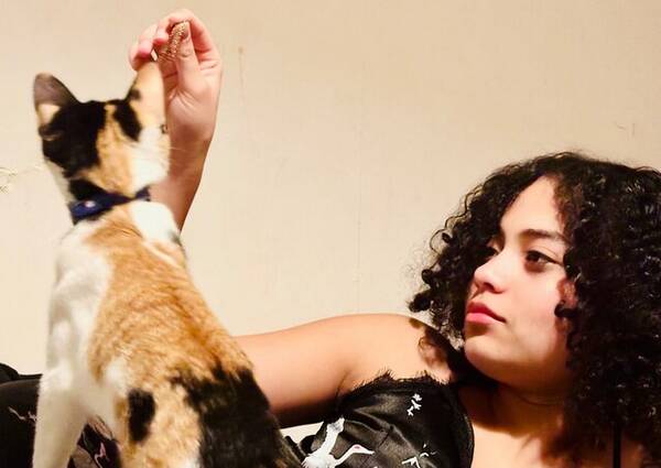 Katt - Safir