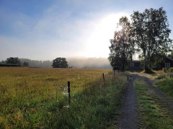 vrigt - Hus/tomt i Stockholm 
