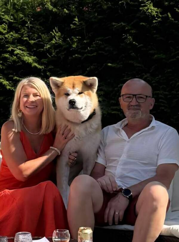 Hund - Akita