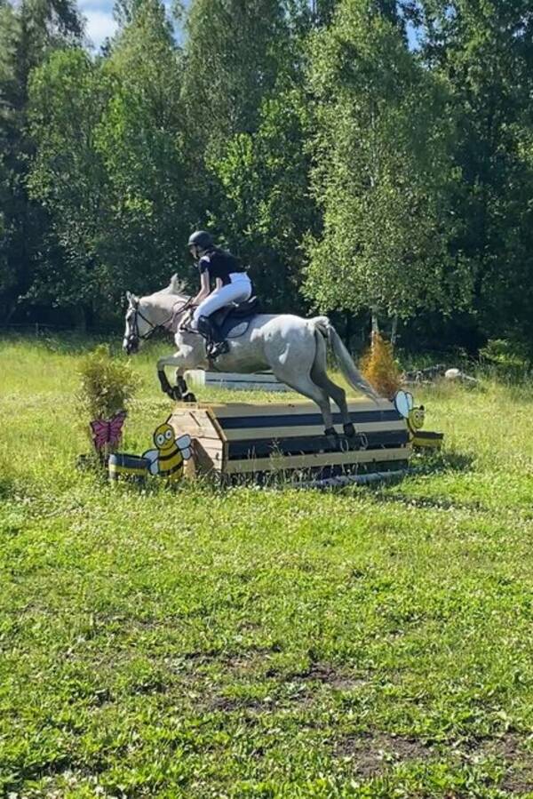 Annet - Hest Annet - Hest