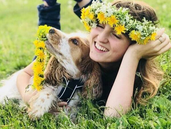 Hund - Engelsk cocker spaniel  Hund - Engelsk cocker spaniel