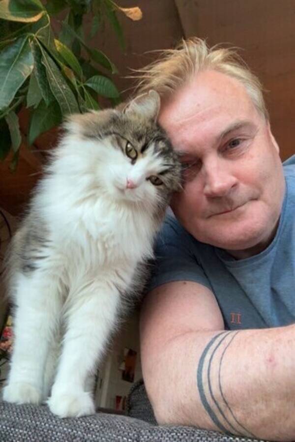 Katt - Katten Sussi Katt - Katten Sussi