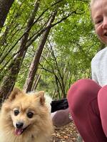 St og rolig hund