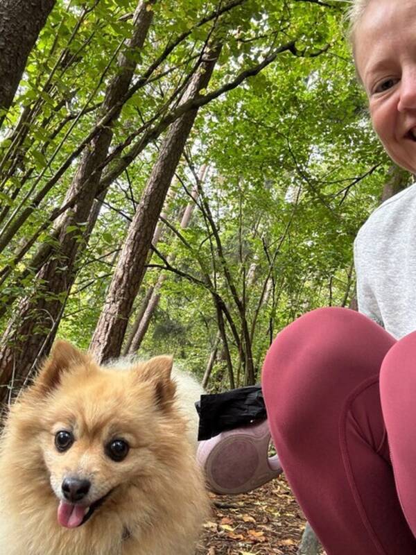 Hund - St og rolig hund