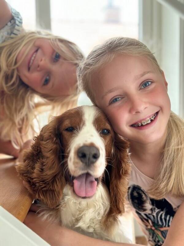 Hund - Welsh Springer Spanieln Lottie ?? 